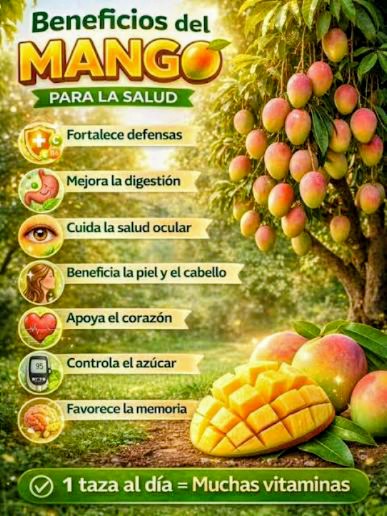 Mango en el árbol e información sobre sus aportes nutricionales