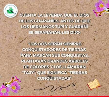 Tarjeta con la leyenda guaraní del tajy, el árbol de flores que los dioses regalaron a los hombres