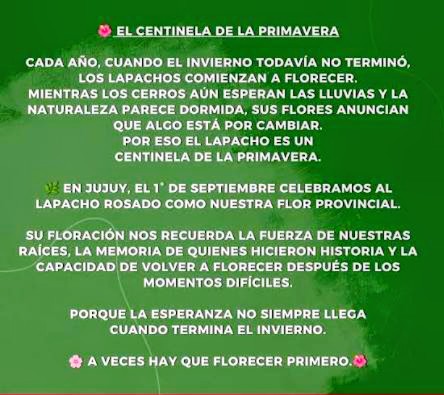 Tarjeta que explica por qué la floración del lapacho anuncia la primavera en Jujuy